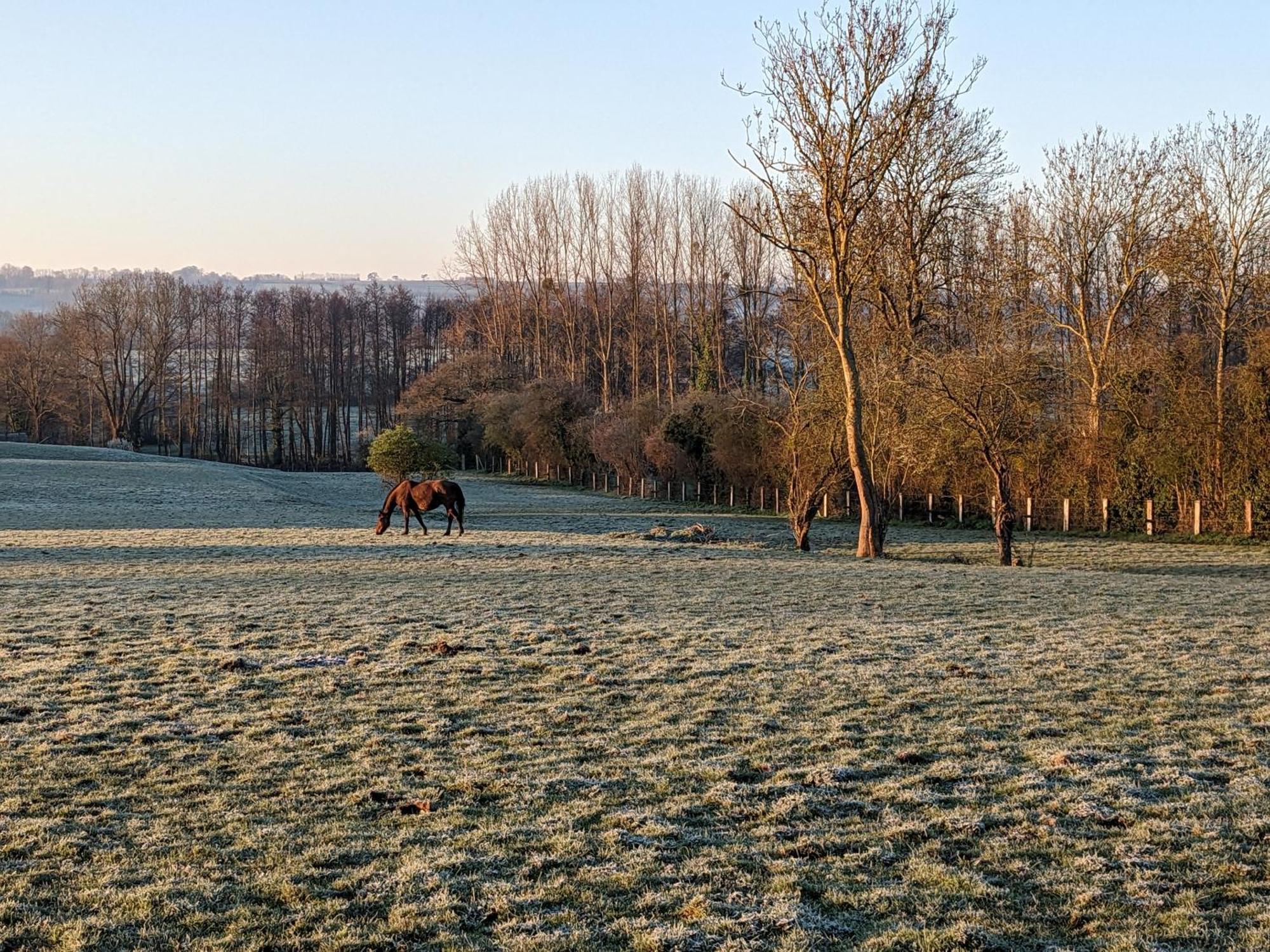 Готель Le Haras D Havetot Anctoville Екстер'єр фото